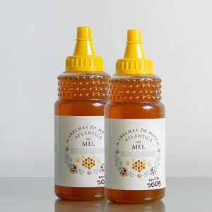 Kit Mel 100% Puro Bisnagas | 2 Unidades 500g