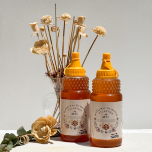 Kit Mel 100% Puro Bisnagas | 2 Unidades 500g