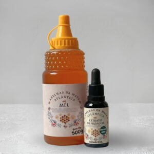 Kit Mel 100% Puro e Própolis Verde | Mel Bisnaga 500g + Própolis Verde 200g