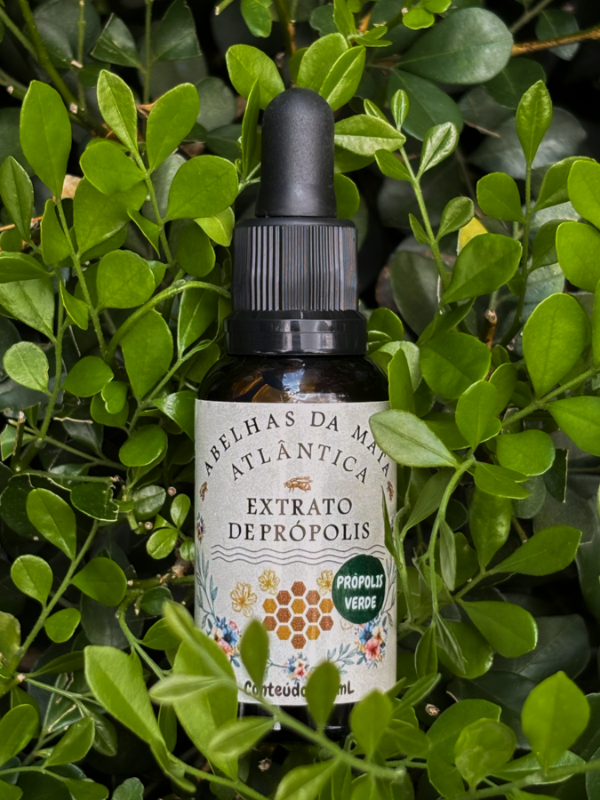 Como Consumir Própolis: Guia Completo para Aproveitar Todos os Benefícios