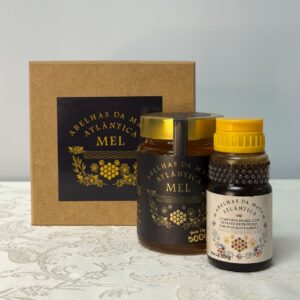 Kit Mel Premium 100% Puro – Pote de Vidro 500g + Mel com Extrato de Própolis Verde sabor Guaco e Agrião 200g + Caixa de Presente