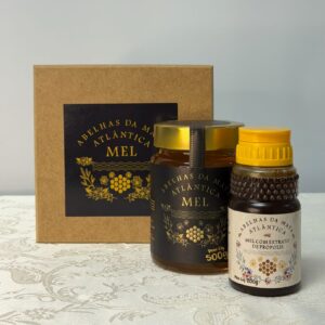 Kit Mel Premium 100% Puro – Pote de Vidro 500g + Mel com Extrato de Própolis Verde 200g + Caixa de Presente