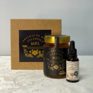 Kit Mel Premium 100% Puro – Pote de Vidro 500g + Própolis Verde 30ml + Caixa de Presente