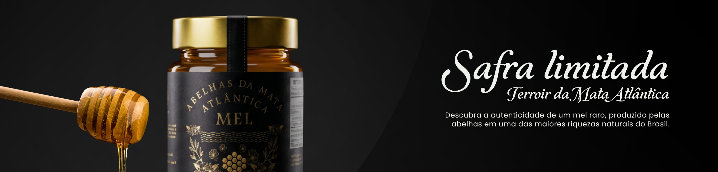headerpremium (2)