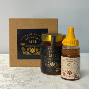 Kit Mel Premium 100% Puro – Pote de Vidro 500g + Bisnaga 200g + Caixa de Presente